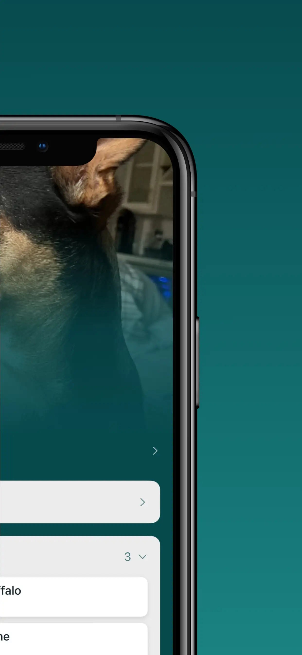 Wagabond Pets screenshot 7